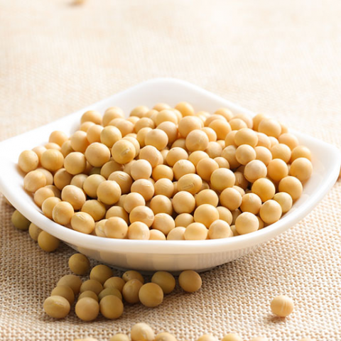 巨量有机黄豆（454g/袋）