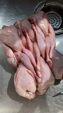 超级新鲜冰鲜鹌鹑（约800g/6只装）