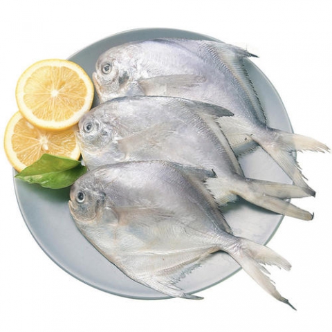 野生白鲳鱼 （4袋，300g/袋）