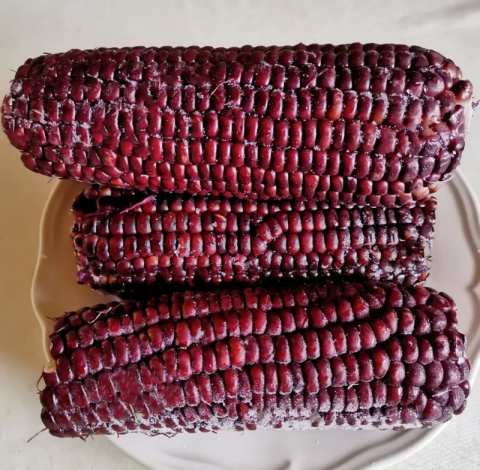 【新春特价】 冰鲜 黑糯玉米 （5袋/10根）