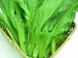 小芥菜 芥菜仔 $4.99 /约2lb