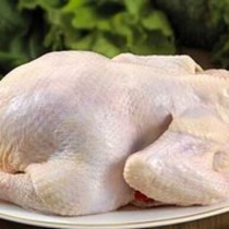 肥美 嫩鸡 1只/约3-3.5磅