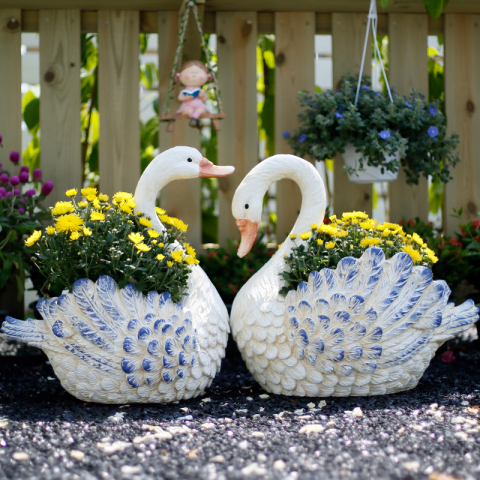 蓝白天鹅情侣花盆