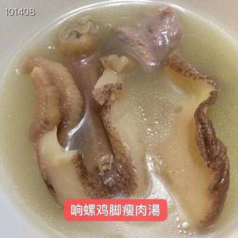 干货-大号响螺片