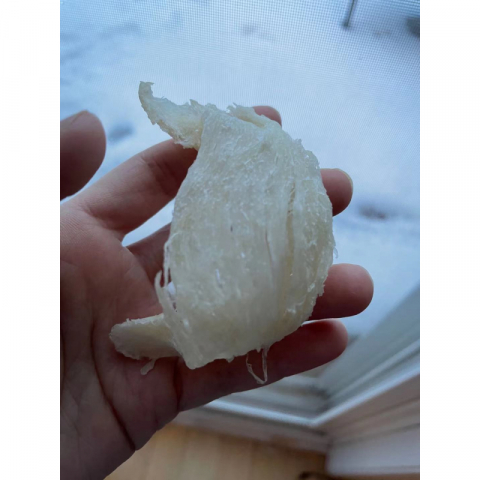 马来西亚顶级干挑燕窝