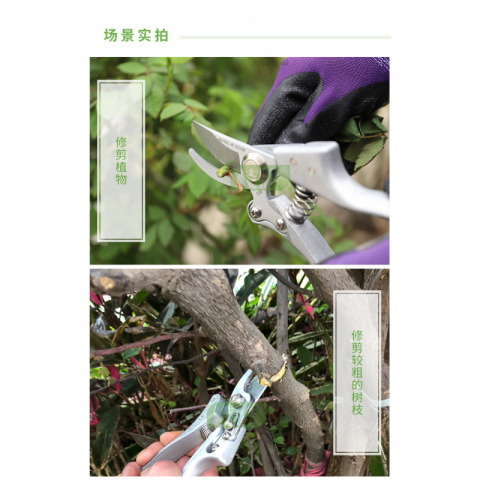 园艺剪刀修枝剪
