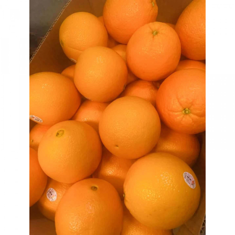【每周上新】 整箱 美国南加州Heirloom原种  脐橙  1箱约40磅（48个）