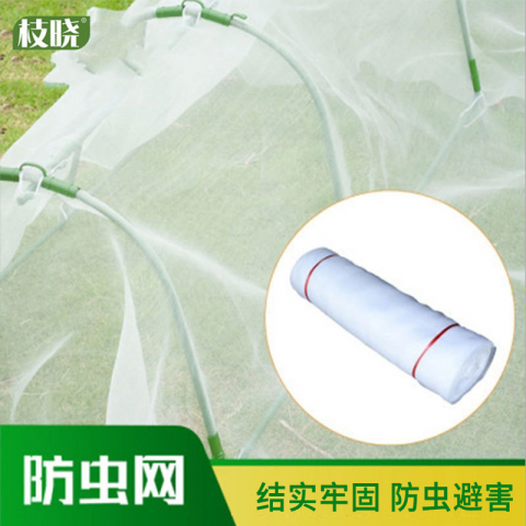枝晓 全新防虫网大棚专用蔬菜养殖网尼龙网防鸟网全新大棚防雹网