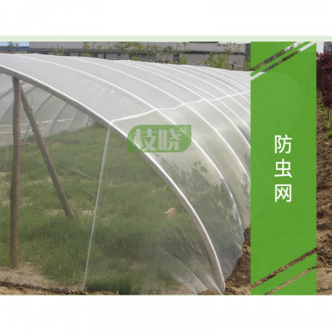 枝晓 全新防虫网大棚专用蔬菜养殖网尼龙网防鸟网全新大棚防雹网