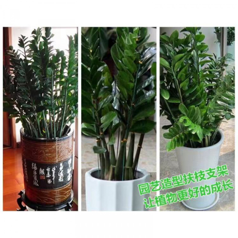 实心花卉支撑杆直径4mm（20根）
