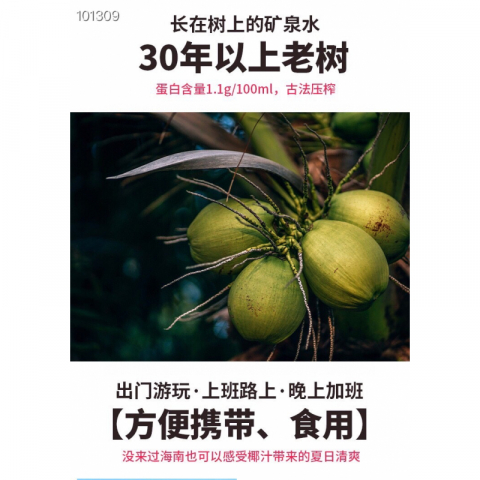 【海南热带印象老树椰汁】老树只为一杯好椰汁 不含防腐剂