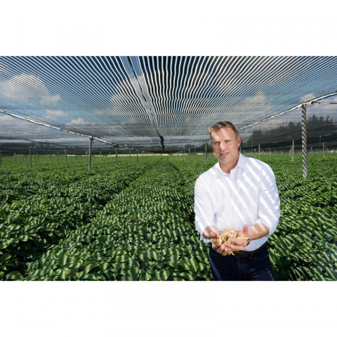 【母亲节完美礼物】 限量版  Farmaroot 加拿大品牌西洋参礼盒 5年参 100%的保证