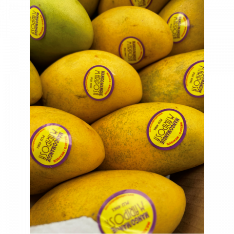 新鲜芒果（吕宋芒）