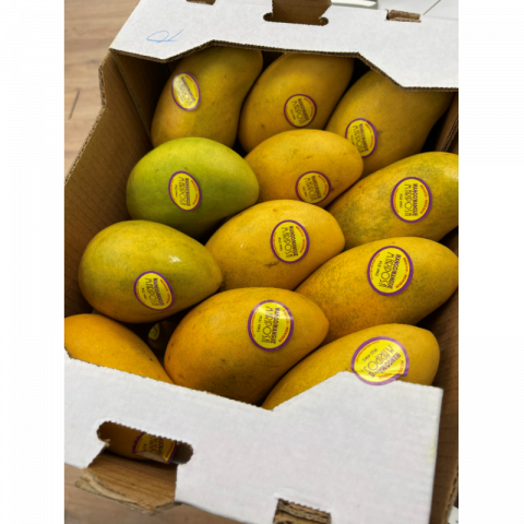 新鲜芒果（吕宋芒）