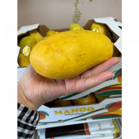 新鲜芒果（吕宋芒）
