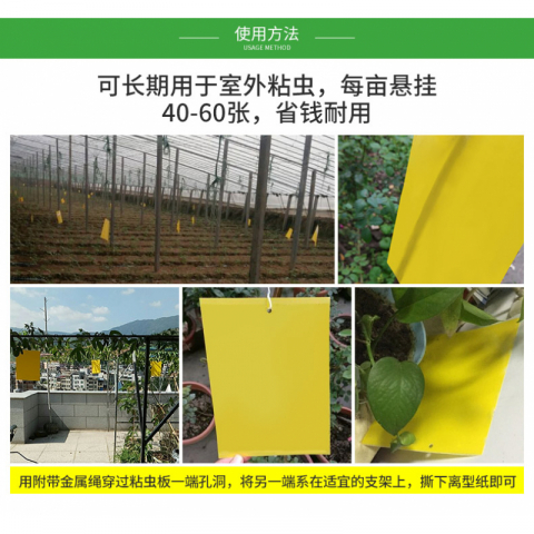 科凌虫控双面粘虫板诱捕器