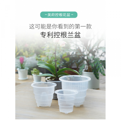 美莳控根透明洋兰专用盆
