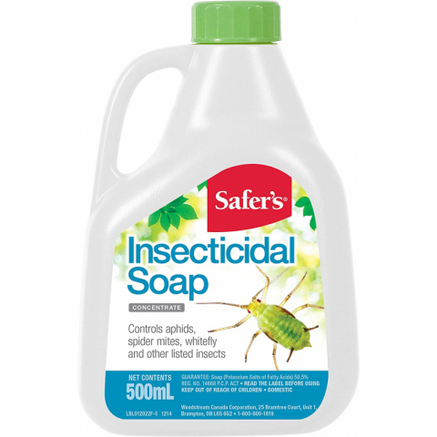 【养花必备】大品牌safer‘s浓缩肥皂水-10ml兑水500ml喷洒，杀死蚜虫、粉蚧、红蜘蛛和粉虱，无毒害/孕妇/小孩/宠物可用，天热有外溢是正常现象。