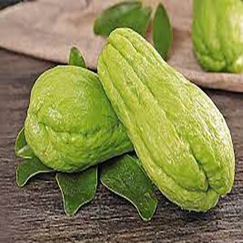 【每周上新】新鲜 合掌瓜  约3磅