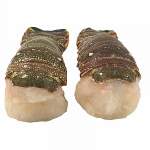 【每周上新】冻鲜 龙虾尾2oz    1盒/每盒8只