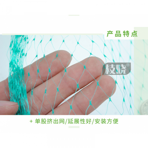 动物网防鸟网档杂物网