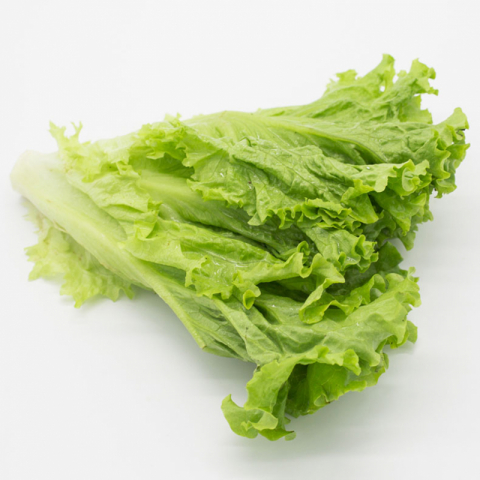 新鲜唐生菜 1颗