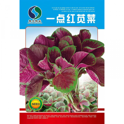 清仓特价 好品牌多款新种子 青菜 绿叶菜种子 10包