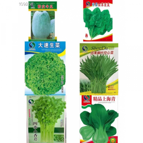 清仓特价 好品牌多款新种子 青菜 绿叶菜种子 10包