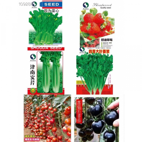 清仓特价 好品牌多款新种子 青菜 绿叶菜种子 10包