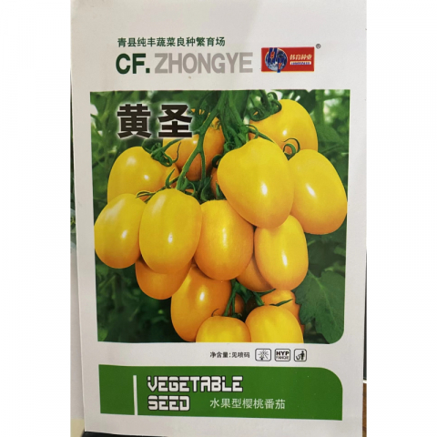 清仓大特价正品草莓 番茄 圣女果 黄瓜 好品牌多款种子 10包