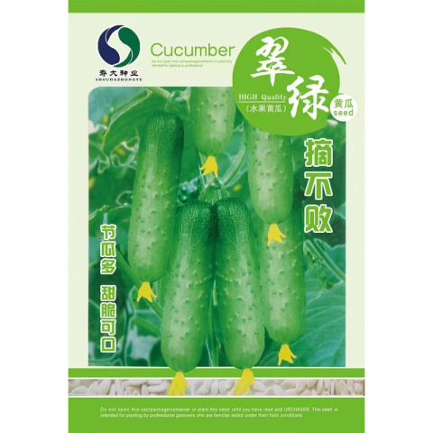 清仓大特价正品草莓 番茄 圣女果 黄瓜 好品牌多款种子 10包