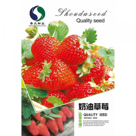 清仓大特价正品草莓 番茄 圣女果 黄瓜 好品牌多款种子 10包