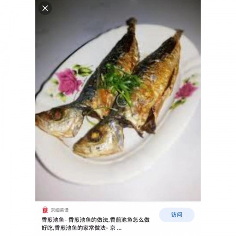 特价冰岛池鱼 4条 4磅左右