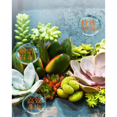 250g/瓶小蓝药3%呋虫胺内通用杀虫剂