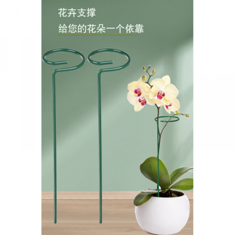 5支/组钢丝喷塑小圆单枝花支柱线径3.5mm