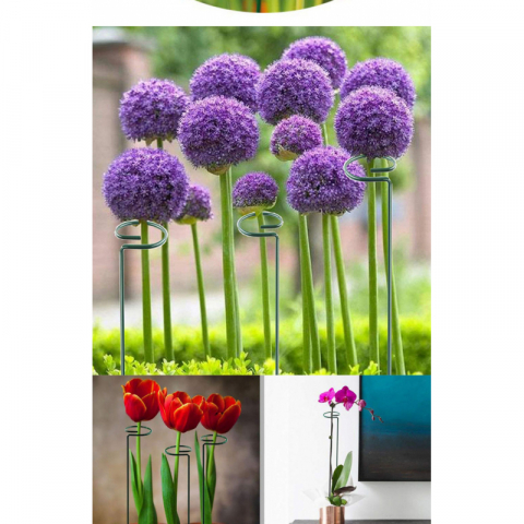 5支/组钢丝喷塑小圆单枝花支柱线径3.5mm