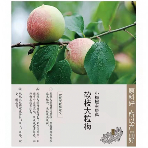 小梅屋蜜饯干果梅饼