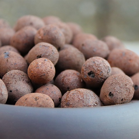 5升园艺种植轻质陶粒花用小碳球