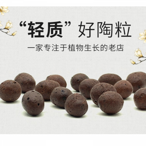 5升园艺种植轻质陶粒花用小碳球