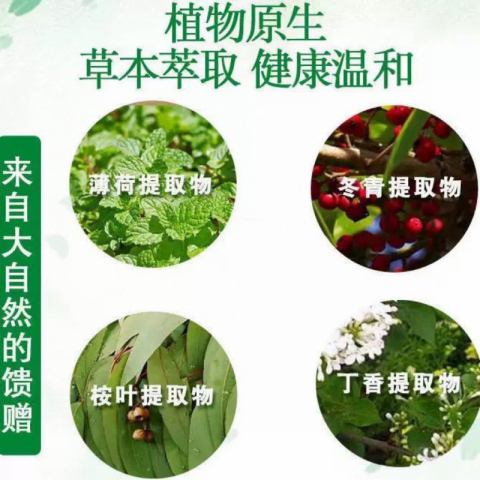 特价国货之光风油精风油精 清凉 止痛 驱风 止痒 10瓶