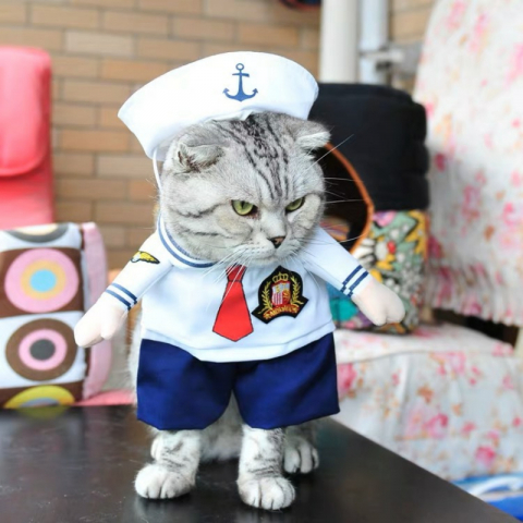 清仓甩卖 不退不换 搞怪宠物水手服