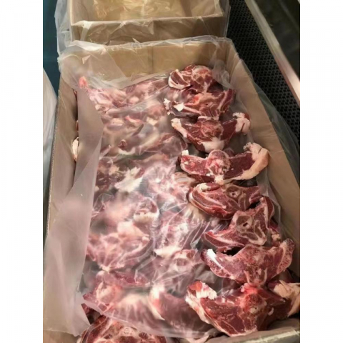 多肉羊蝎子 2包