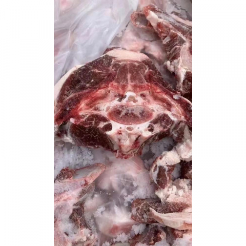 多肉羊蝎子 2包