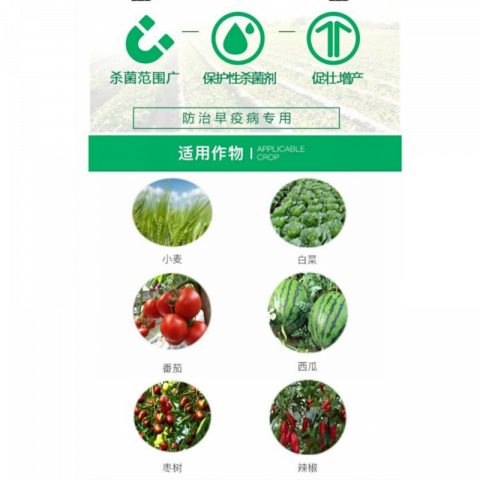 100g/包国光代森锰锌作物杀菌剂