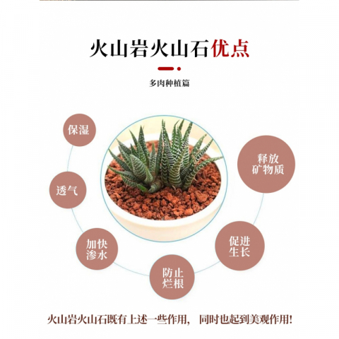 红火山石10斤左右/袋