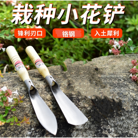 Set with cave wooden handle (small spatula + small pointed spatula)