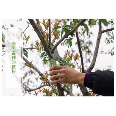 园艺粗枝剪刀