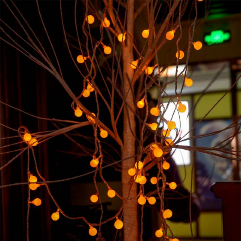 圆球LED灯串USB款(10米100灯)