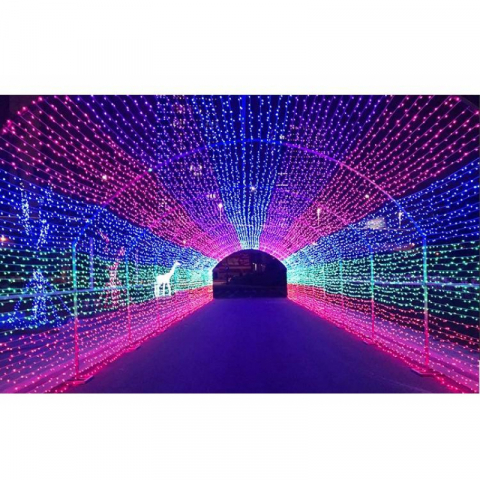 2串LED小星星灯串110Ⅴ(10米100灯)