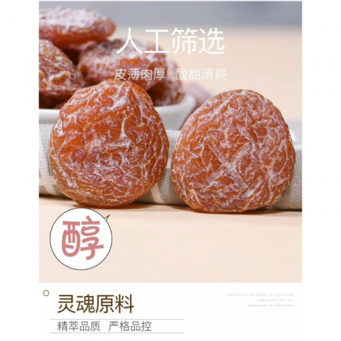 250g/包盐津梅饼